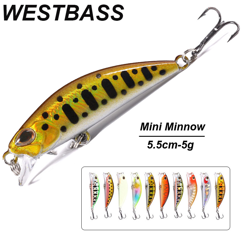WESTBASS 1PX Micro Minnow Köde – Fishing Lure Popper Bewertung und Preis
